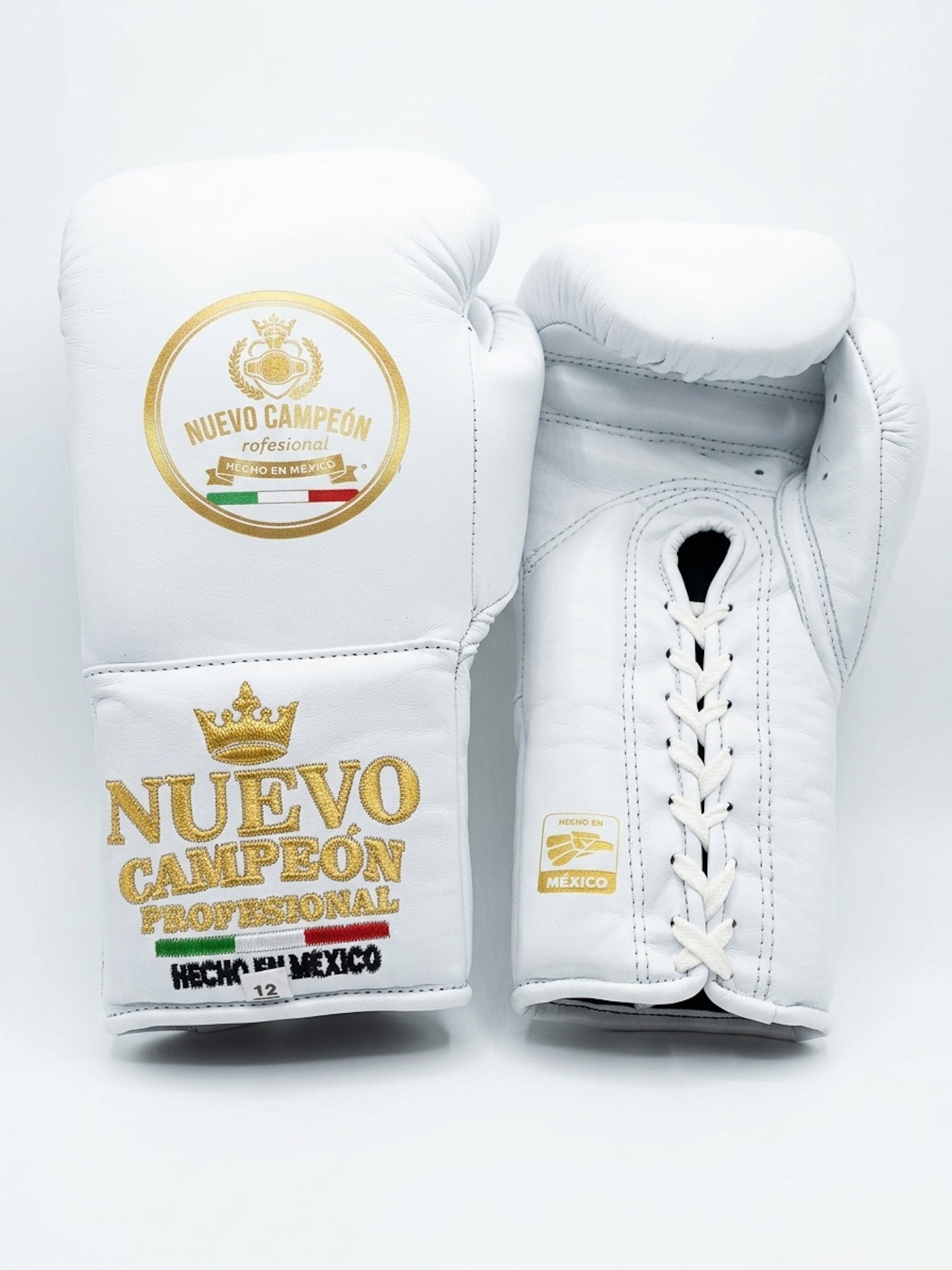 Nuevo campeón Mod sparring